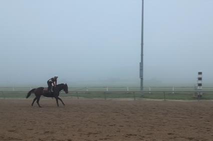 Pango training at Penn National on October 22, 2020 (Mark Salvaggio)