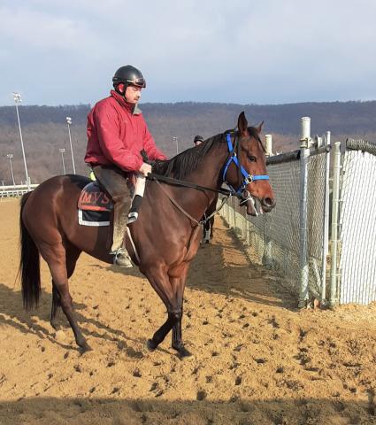 Pango training at Penn National on Thursday, March 4, 2021 (Mark Salvaggio)