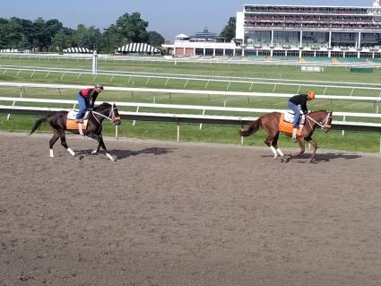 Rapstorerocks (rider with red vest) and Smarty Cat training at Monmouth Park on July 25, 2019 (Jack Czajkowski)