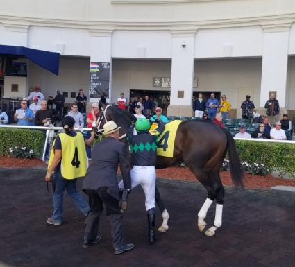 Rapstorerocks at Gulfstream Park on March 1, 2020 (Paul Callahan)