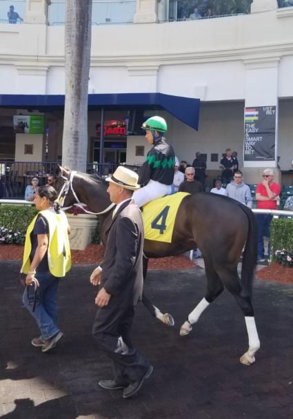 Rapstorerocks at Gulfstream Park on March 1, 2020 (Paul Callahan)