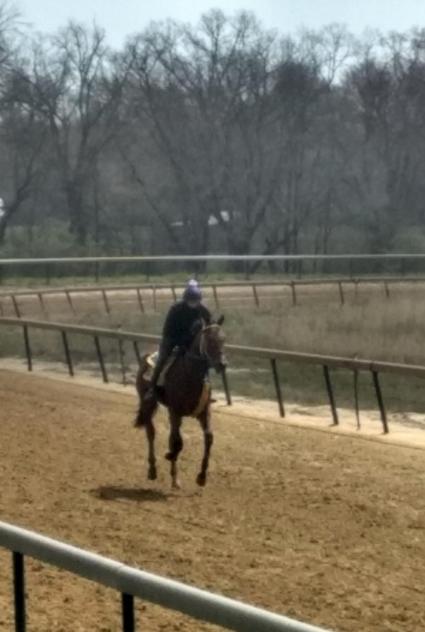 Seven Seven at Overbrook Farm on Saturday, April 25, 2020 (Rory Huston)