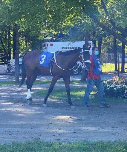 Seven Seven in race 4 at Saratoga on August 21, 2020 (Kelly Breen)