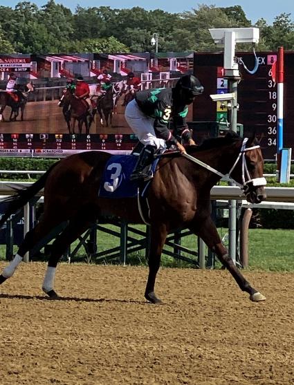 Seven Seven in race 4 at Saratoga on August 21, 2020 (Kelly Breen)