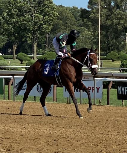 Seven Seven in race 4 at Saratoga on August 21, 2020 (Kelly Breen)