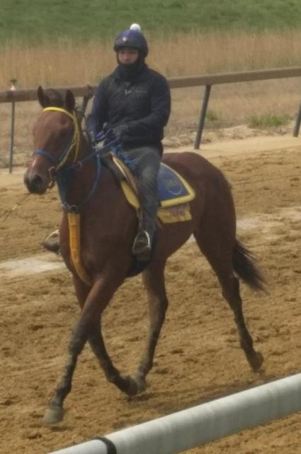 Seven Seven at Overbrook Farm on Saturday, April 25, 2020 (Rory Huston)