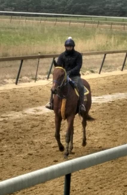 Seven Seven at Overbrook Farm on Saturday, April 25, 2020 (Rory Huston)