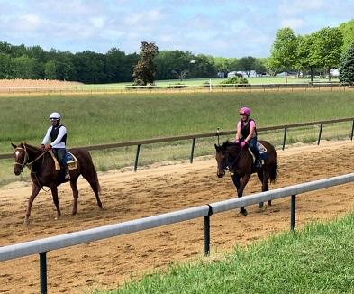 Seven Seven at Overbrook Farm on May 27, 2020 (Ralph Pastore)