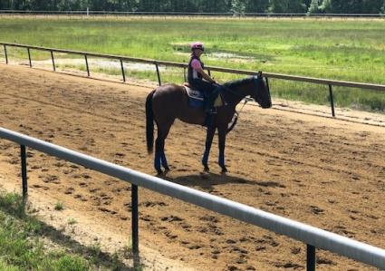 Seven Seven at Overbrook Farm on May 27, 2020 (Ralph Pastore)