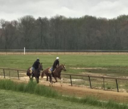 Seven Seven at Overbrook Farm on May 6, 2020 (Rory Huston)