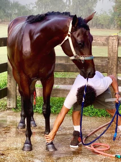 Shake It Up Baby training at T-Square Stud on October 5, 2019 (Adam Parker)