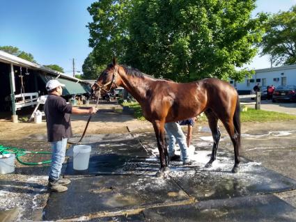 Shake It Up Baby at Monmouth Park on May 25, 2019