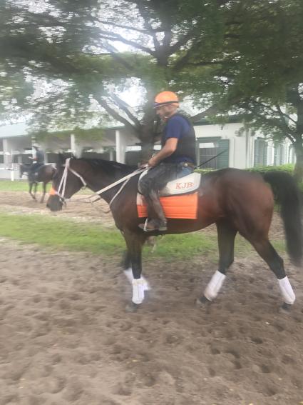 Shake It Up Baby training at Palm Meadows on November 9, 2019 (Kelly Breen)