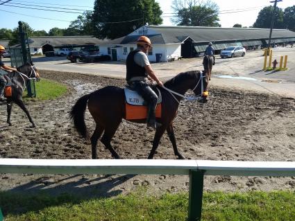 Shake It Up Baby at Monmouth Park on June 30, 2019 (Robb Levinsky)