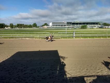 Shimmyshimmy Shake training at Monmouth Park on May 26, 2019