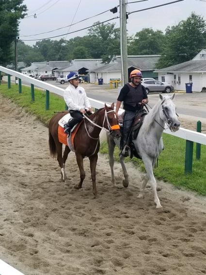 Smarty Cat training at Monmouth Park on August 17, 2019 (George Katzenberger)