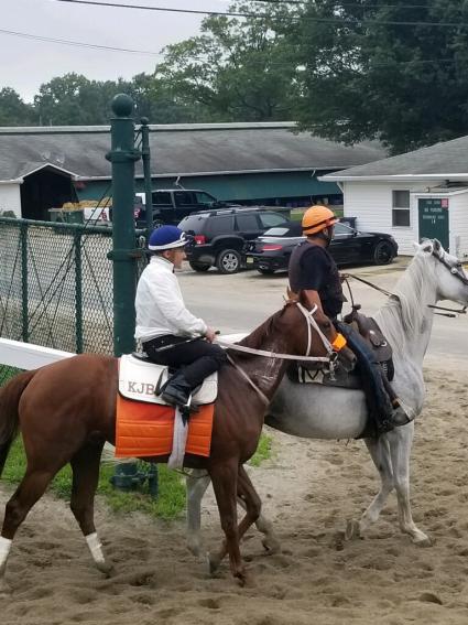 Smarty Cat training at Monmouth Park on August 17, 2019 (George Katzenberger)