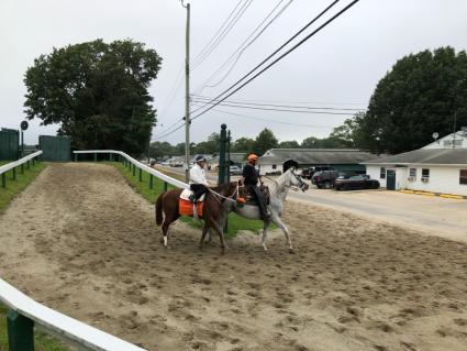 Smarty Cat training at Monmouth Park on August 17, 2019 (Chris Driscoll)