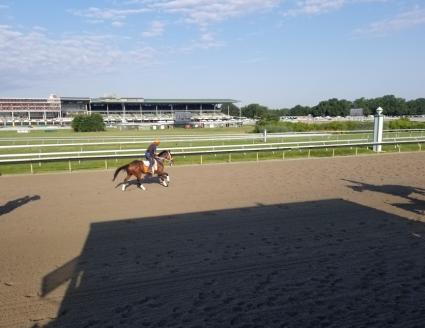 Solar training at Monmouth Park on July 25, 2019 (Jack Czajkowski)