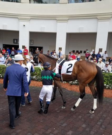 Solar wins race 4 at Gulfstream Park on Saturday, February 8, 2020 (Paul Callahan)