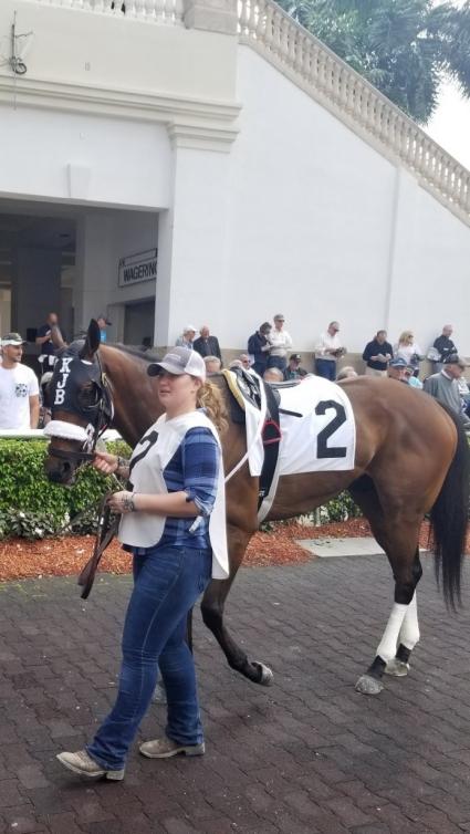 Solar wins race 4 at Gulfstream Park on Saturday, February 8, 2020 (Paul Callahan)