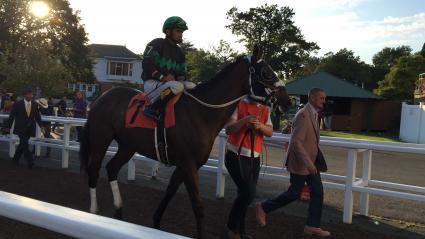 Solar in race 13 at Monmouth Park on September 1, 2019