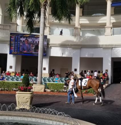 Solar in race 7 at Gulfstream Park on January 12, 2020 (Paul Callahan)