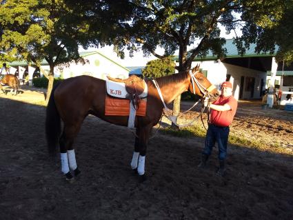 Solar training at Palm Meadows on February 4, 2020 (Robb Levinsky)