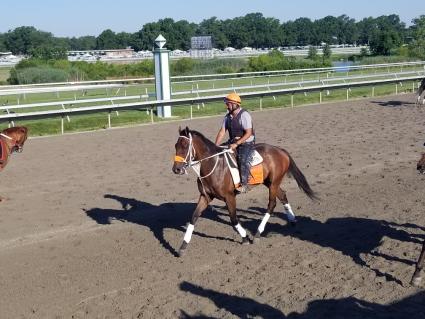 Solar training at Monmouth Park on July 16, 2019 (Jack Czajkowski)