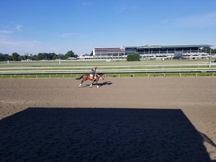 Solar training at Monmouth Park on July 16, 2019 (Jack Czajkowski)