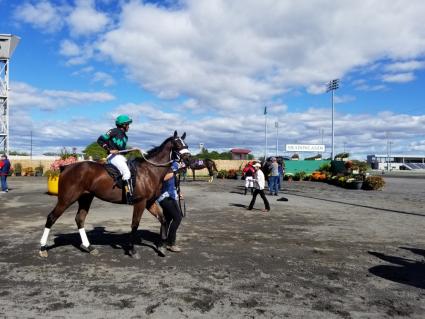 Solar in race 3 at the Meadowlands on October 4, 2019 (Jack Czajkowski)