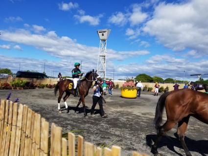 Solar in race 3 at the Meadowlands on October 4, 2019 (Jack Czajkowski)