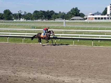 Start a Fire training at Monmouth Park on July 16, 2019 (Jack Czajkowski)