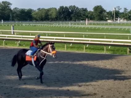 Start a Fire training at Monmouth Park on August 20, 2019 (Robb Levinsky)