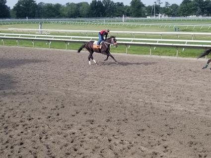 Start a Fire training at Monmouth Park on July 25, 2019 (Jack Czajkowski)