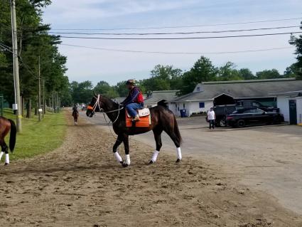 Start a Fire training at Monmouth Park on June 8, 2019 (George Katzenberger)