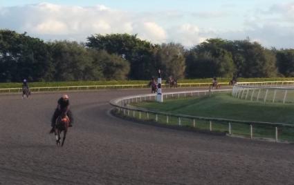 Street Facts gallops at Palm Meadows on December 29, 2021 (Kelly Breen)