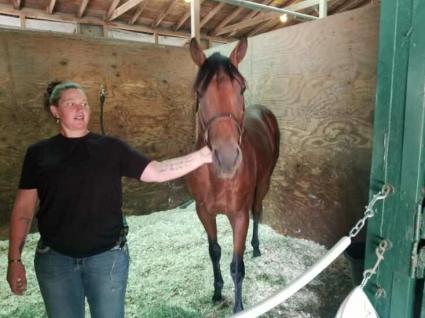 Street Facts in his stall at Monmouth Park on June 11, 2021 (George Katzenberger)