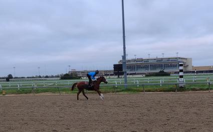 Tessa P trains at Penn National on October 13, 2021 (Mark Salvaggio)