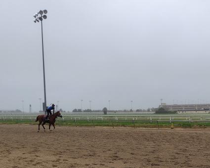 Tessa P at Penn National on October 5, 2021 (Mark Salvaggio)