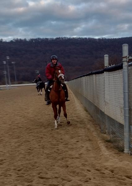 Tessa P training at Penn National on December 15, 2021 (Mark Salvaggio)