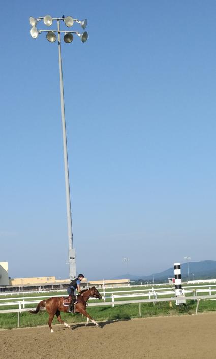 Tessa P training at Penn National on August 26, 2021 (Mark Salvaggio)