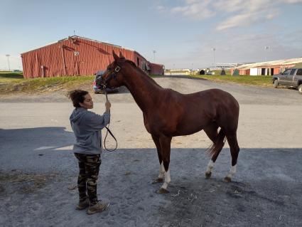 Tessa P at Penn National on November 11, 2021 (Mark Salvaggio)