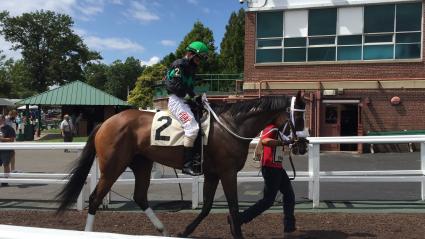 Tracy Ann's Legacy makes her Kenwood debut in race 5 at Monmouth Park on August 8, 2020 (Christopher Driscoll)