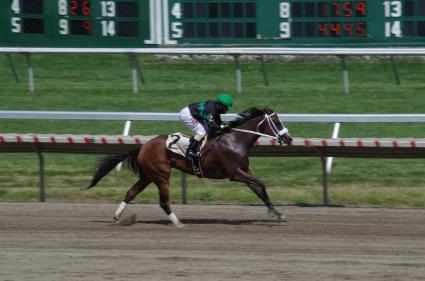 Tracy Ann's Legacy makes her Kenwood debut in race 5 at Monmouth Park on August 8, 2020 (Christopher Driscoll)