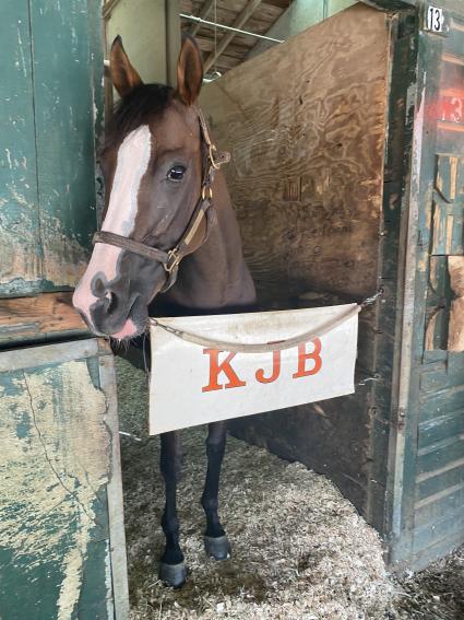 Tracy Ann's Legacy - Monmouth Park - July 20, 2020 (Kelly Breen)