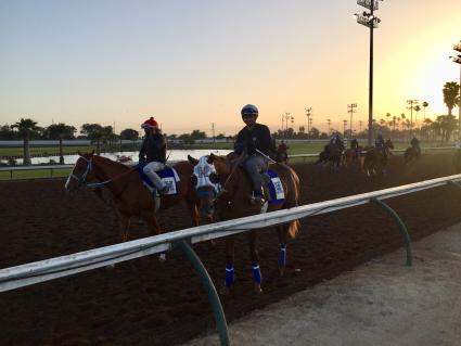 Congrats colt Two Fifty Coup training at Los Alamitos (Ian Garsman)