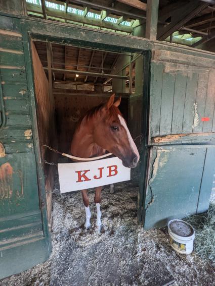 U Kant Whip It in his stall at Monmouth Park on July 23, 2022