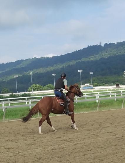 U Kant Whip It training at Penn National on August 30, 2020 (Mark Salvaggio)