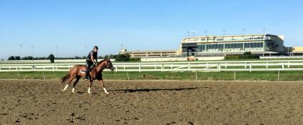 U Kant Whip It training at Penn National on September 11, 2020 (Mark Salvaggio)